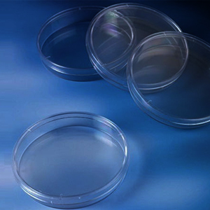 Petri-Dish-for-reaserch-lab-medical-lab-pathology-lab-pharmacy-lab-in-Dubai, UAE-Metaverse scientific & laboratory equipment